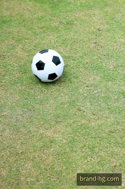 体育运动细节的圆形品牌影像
